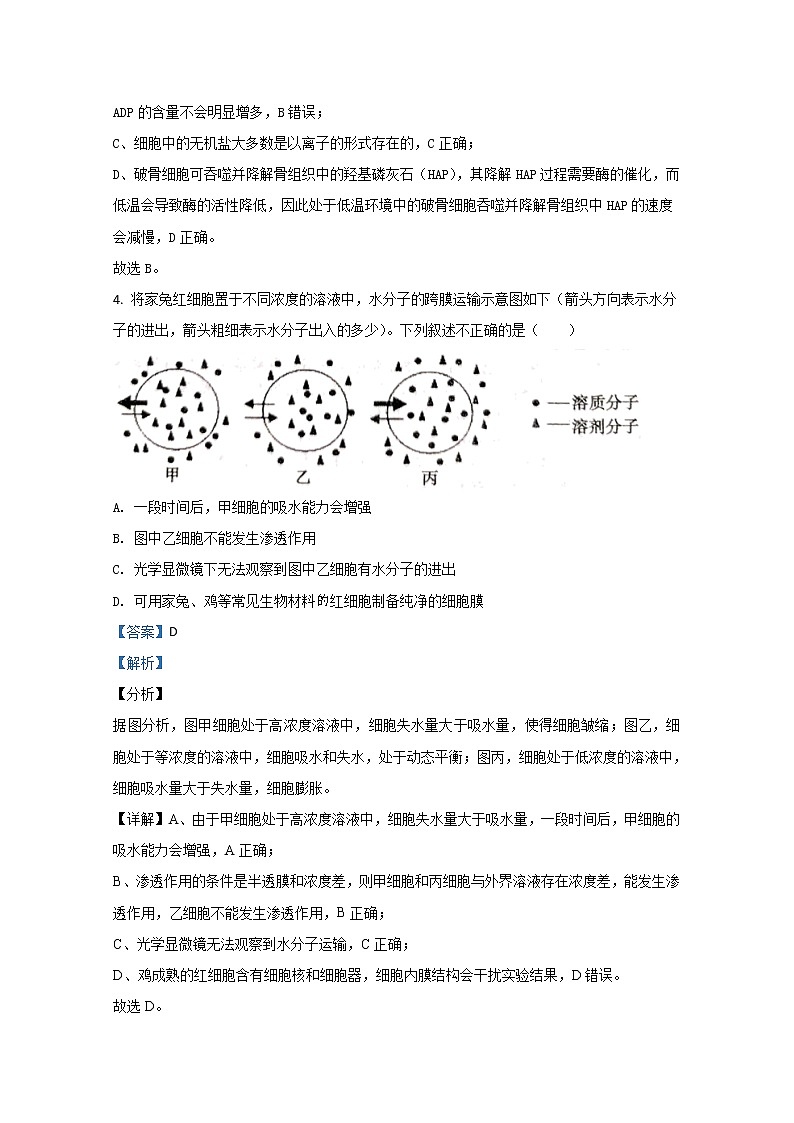2021【KS5U解析】烟台高三上学期期中考试生物试题含解析03