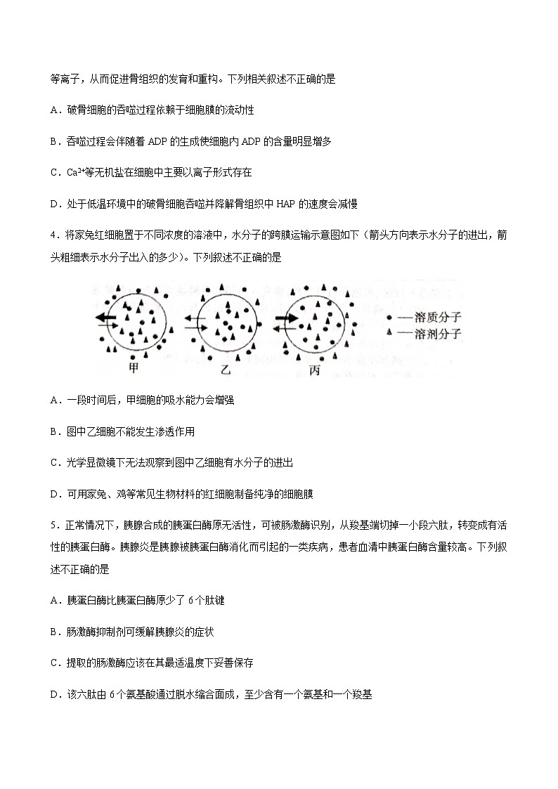2021烟台高三上学期期中考试生物试题含答案02