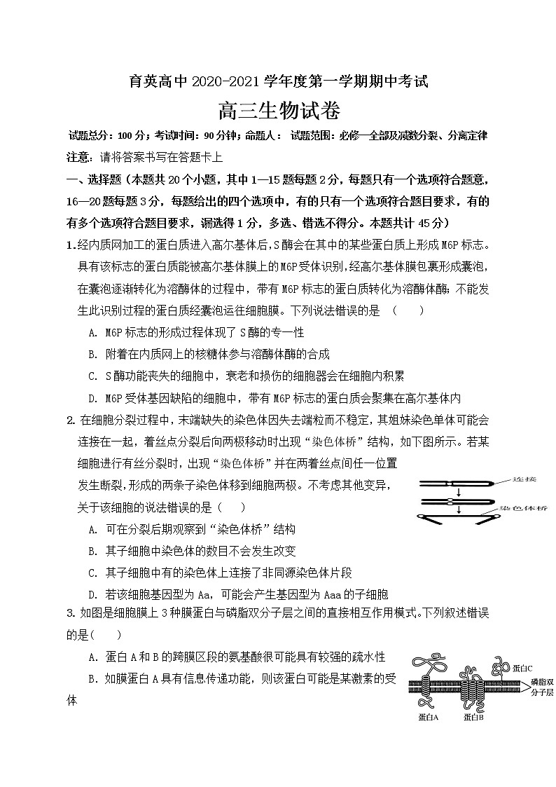 2021朝阳育英高考补习学校高三上学期期中考试生物试题含答案第1页