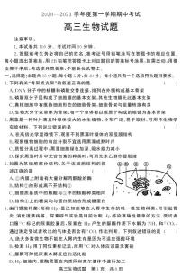 2021济宁泗水县高三上学期期中考试生物试题（可编辑）PDF版含答案