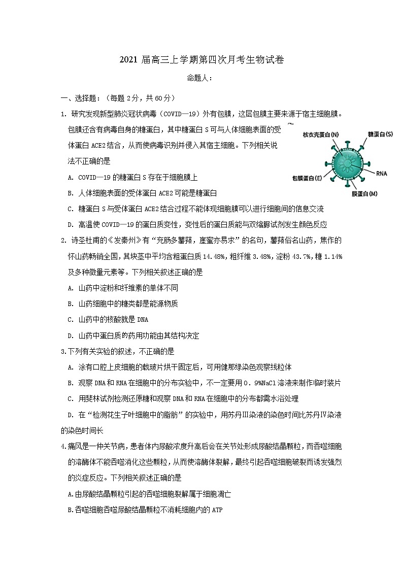 2021奉新县一中高三上学期第四次月考生物试题含答案第1页