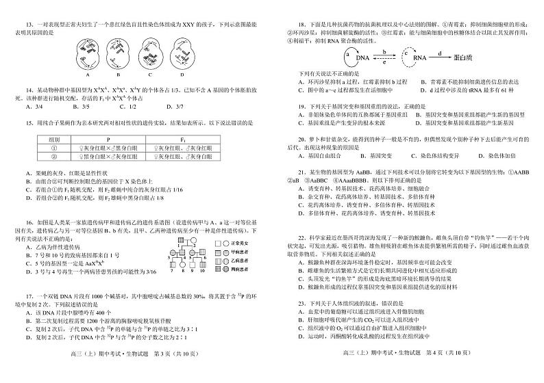 2021省大庆中学高三上学期期中考试生物试题含答案02