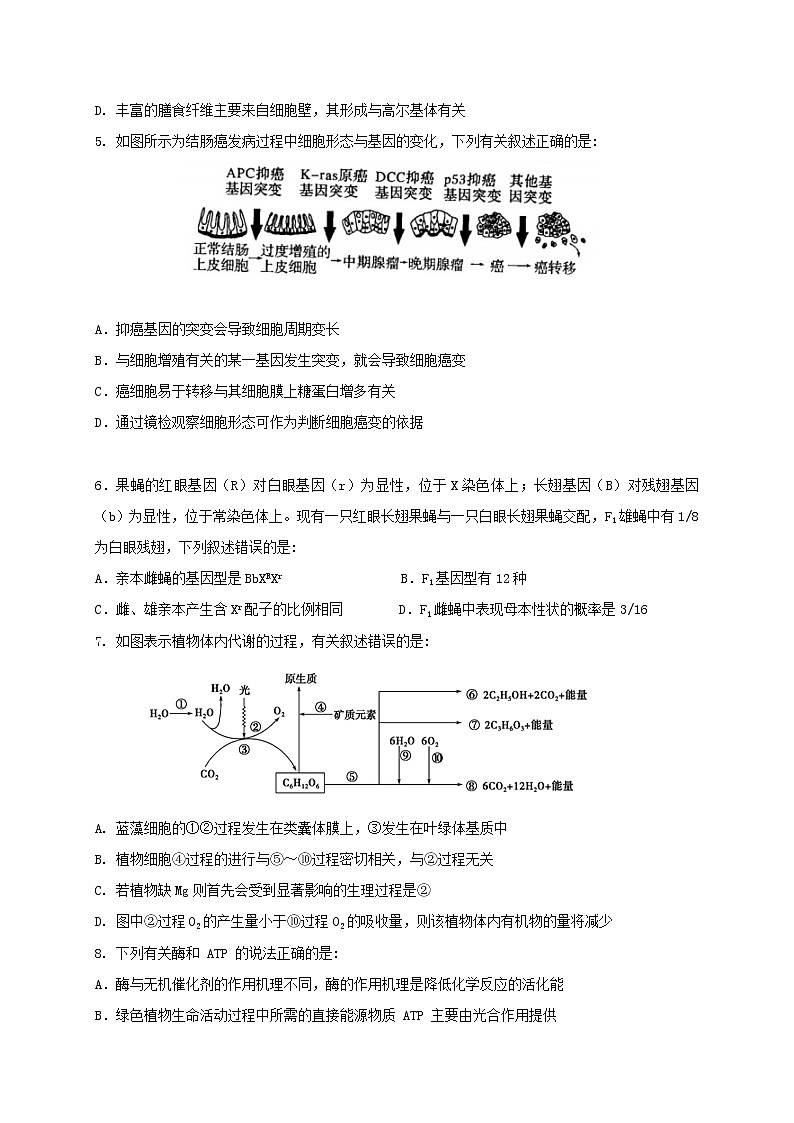 2021淮安高中校协作体高三上学期期中考试生物试题含答案第2页
