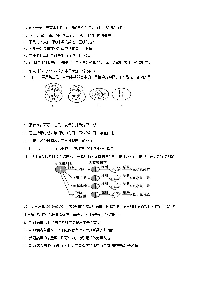 2021淮安高中校协作体高三上学期期中考试生物试题含答案第3页