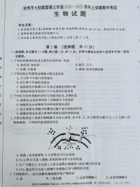 2021沧州七校联盟高三上学期期中考试生物试题扫描版含答案