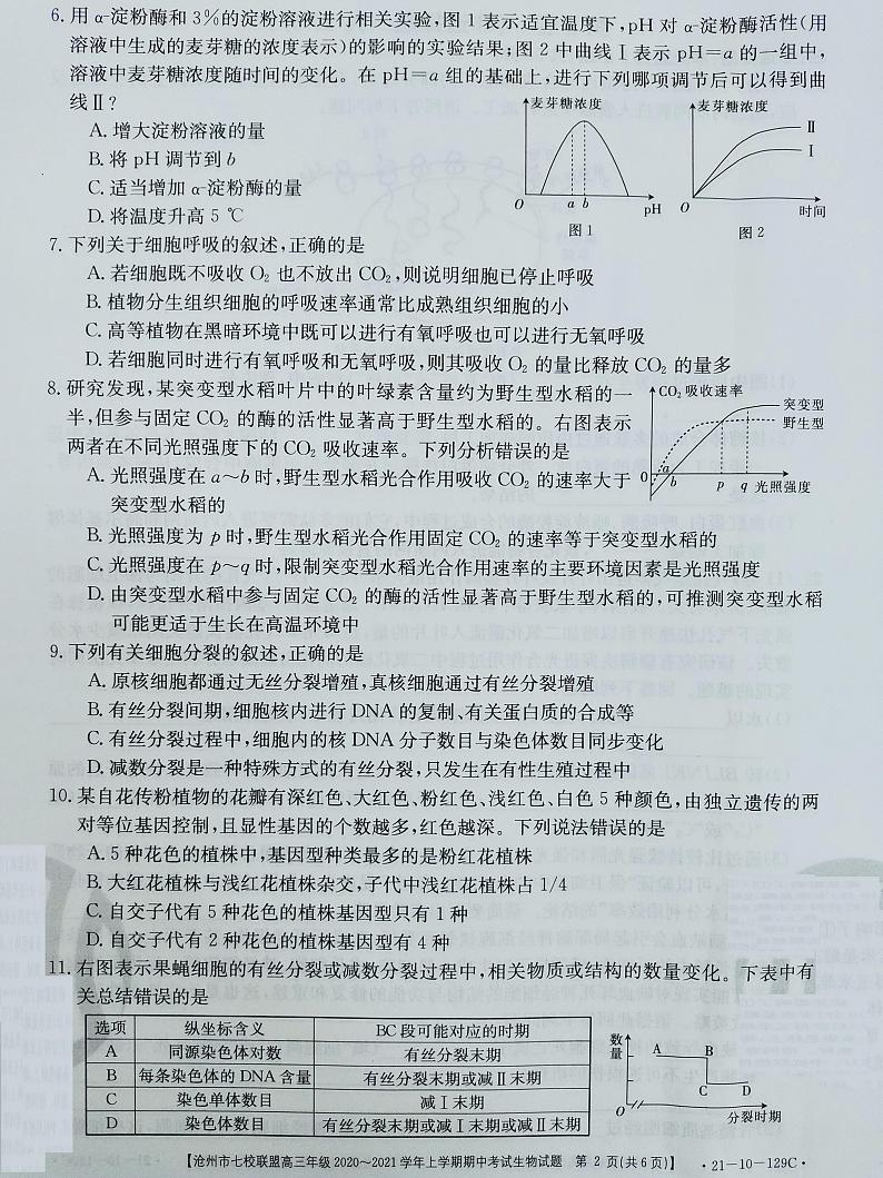 2021沧州七校联盟高三上学期期中考试生物试题扫描版含答案02