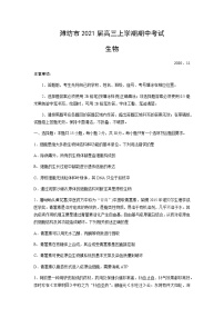 2021潍坊高三上学期期中考试生物试题含答案