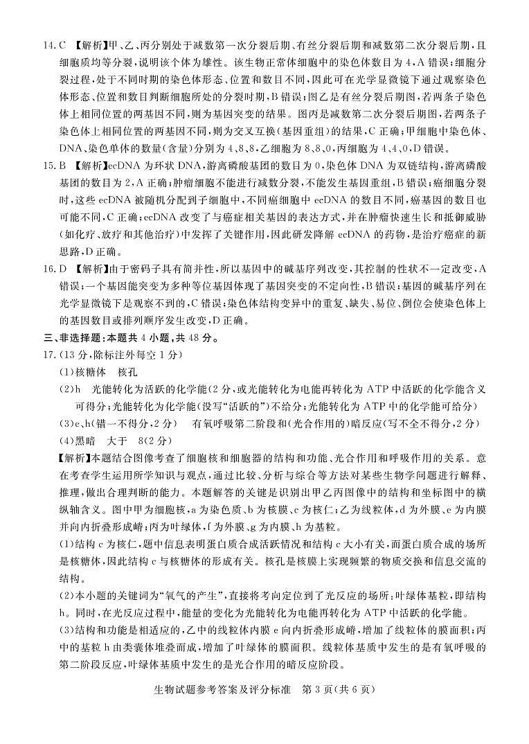 2021湛江高三上学期11月调研测试生物试题含答案03