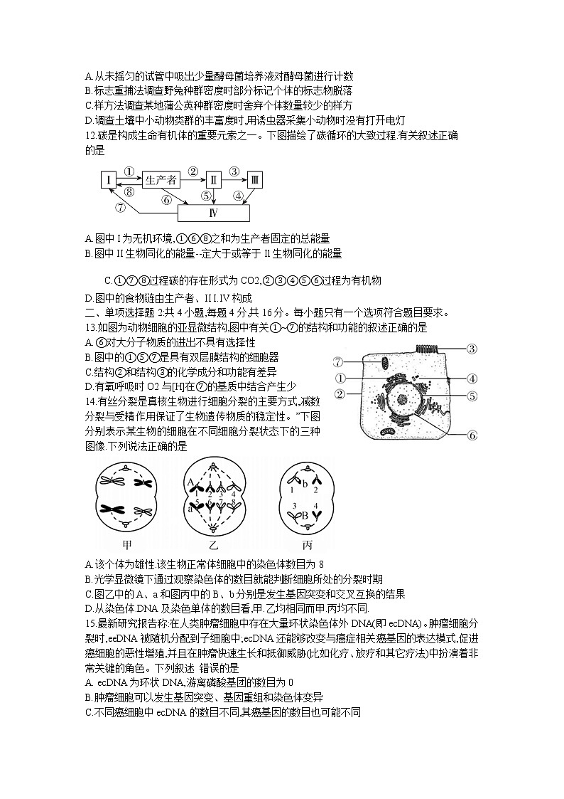 2021湛江高三上学期11月调研测试生物试题含答案03