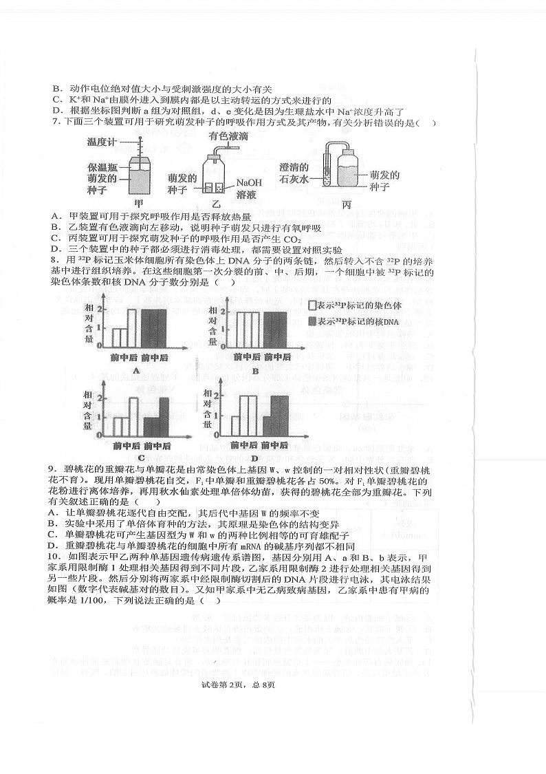 2021枣庄三中高三上学期期中考试生物试题扫描版含答案02