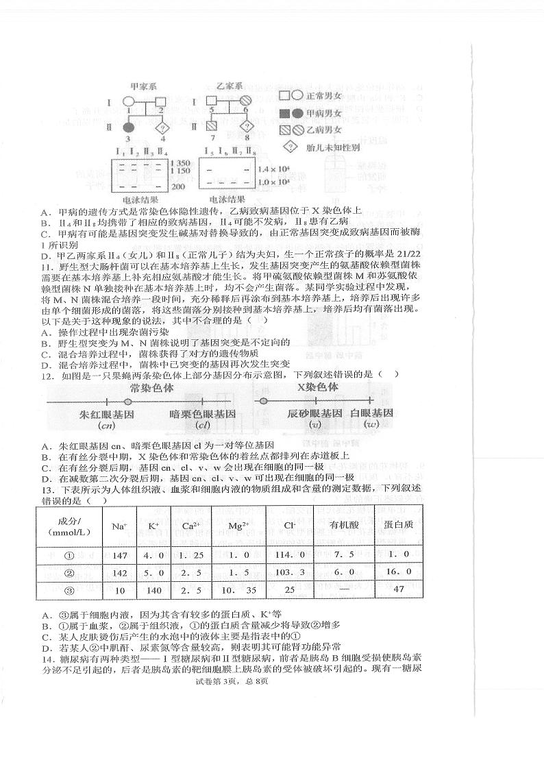 2021枣庄三中高三上学期期中考试生物试题扫描版含答案03