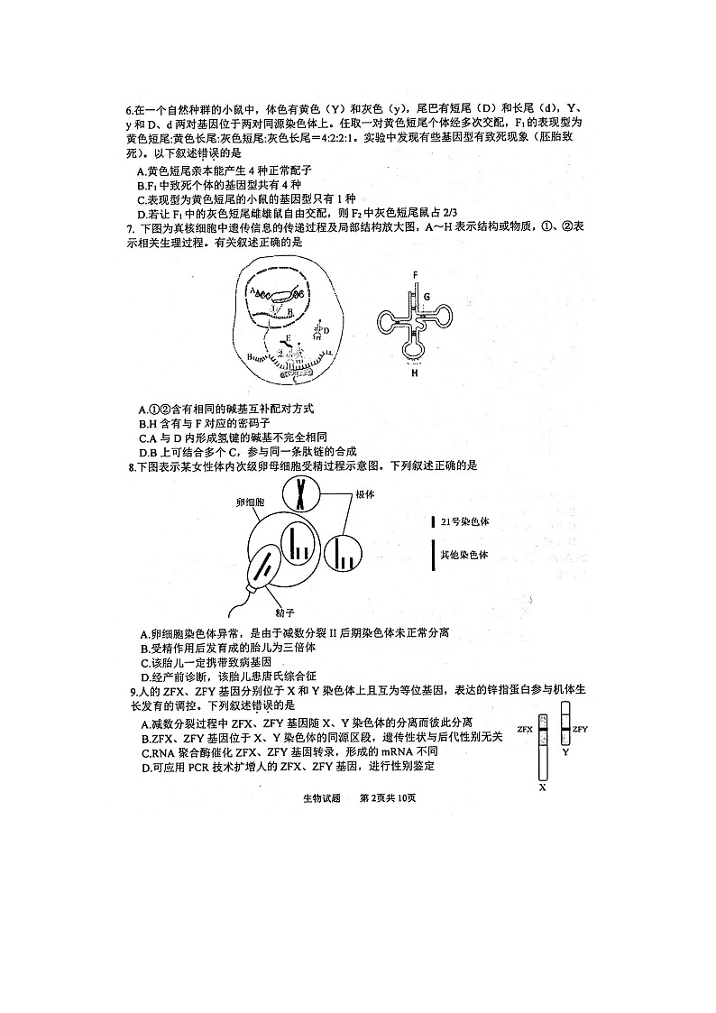 2021徐州高三上学期期中抽测生物试卷扫描版含答案02