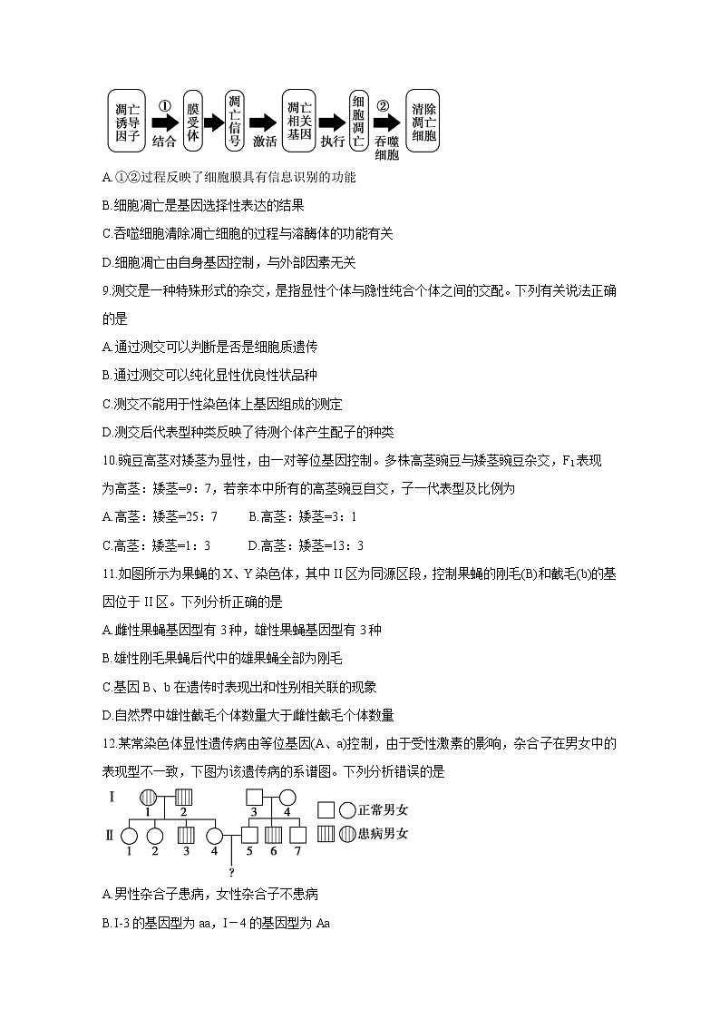 2021德州高三上学期期中考试生物含答案第3页