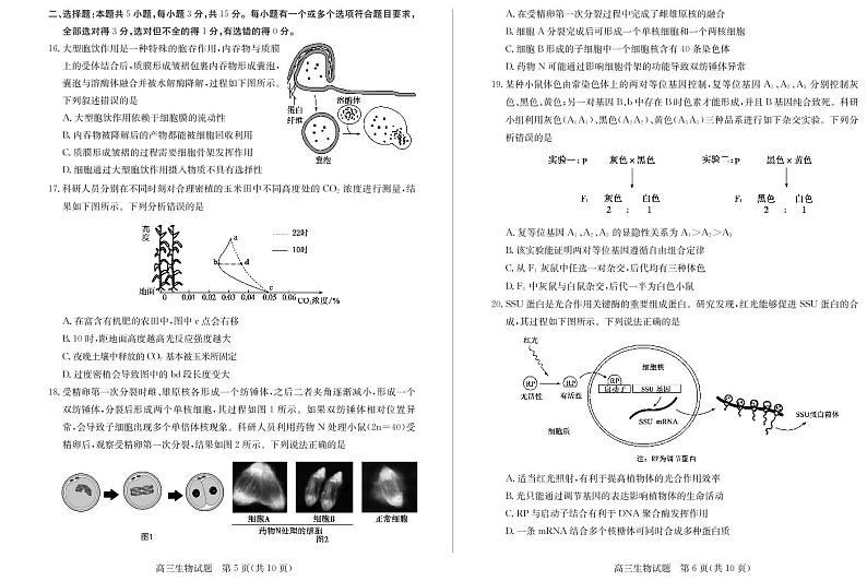 2021德州高三上学期期中考试生物试题PDF版含答案第3页