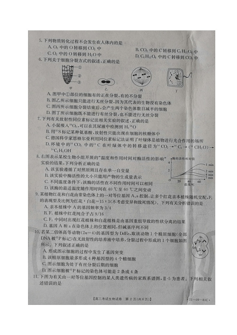 2021朝阳普通高中高三上学期联合考试生物试题扫描版含答案02