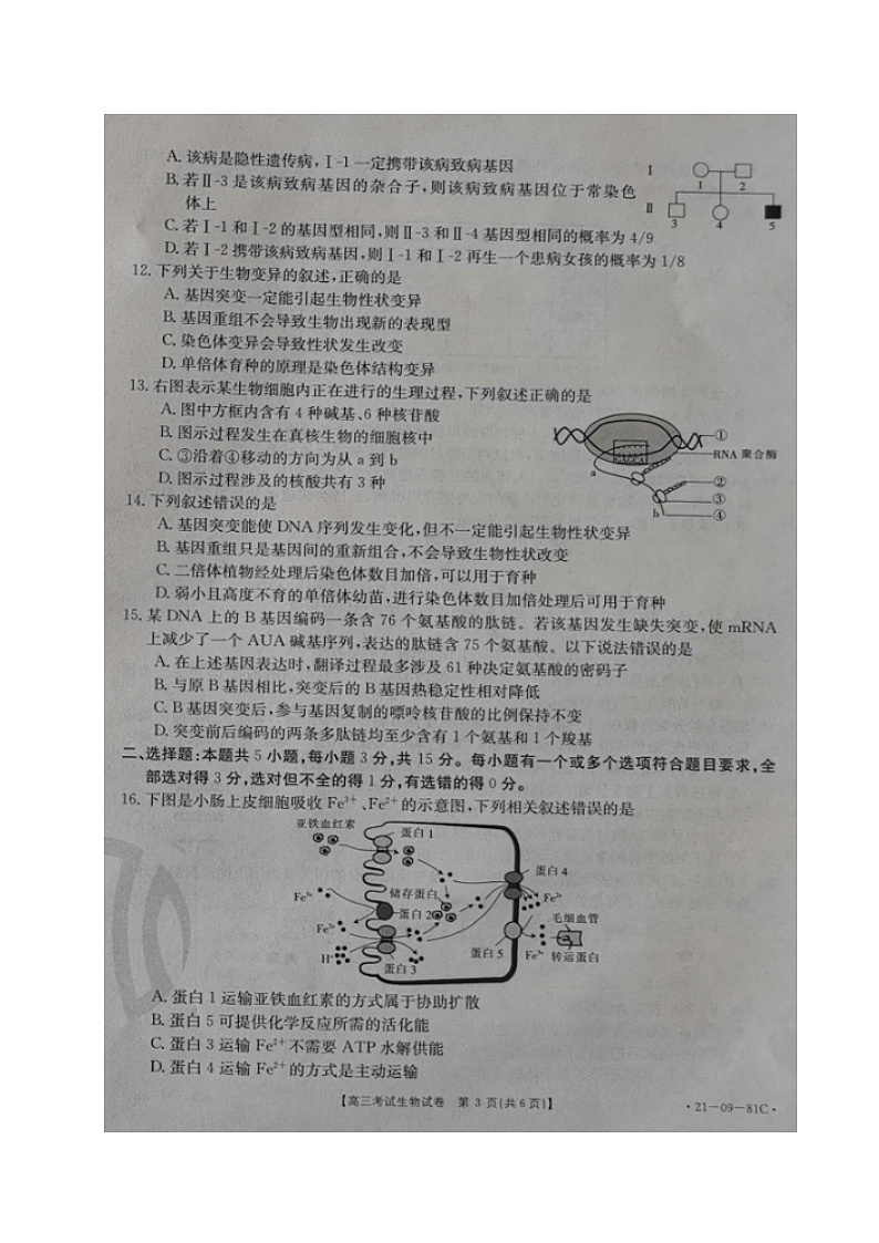2021朝阳普通高中高三上学期联合考试生物试题扫描版含答案03