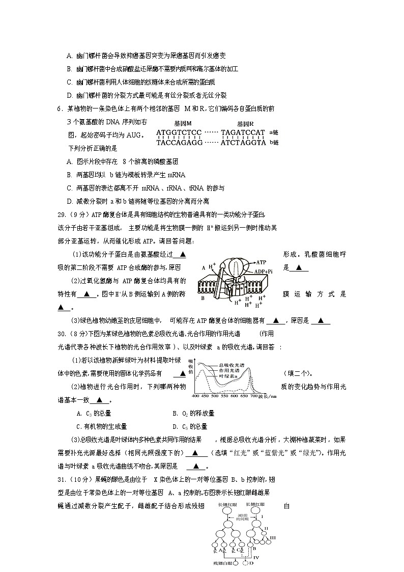 2021遂宁高三零诊考试生物试题含答案02