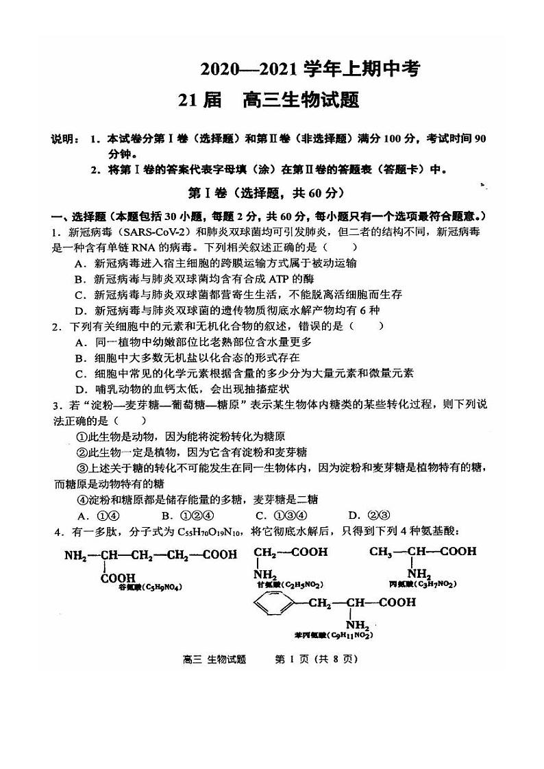 2021郑州一中高三上学期期中考试生物试题PDF版含答案01