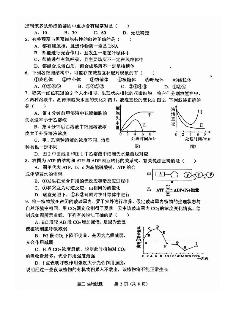 2021郑州一中高三上学期期中考试生物试题PDF版含答案02