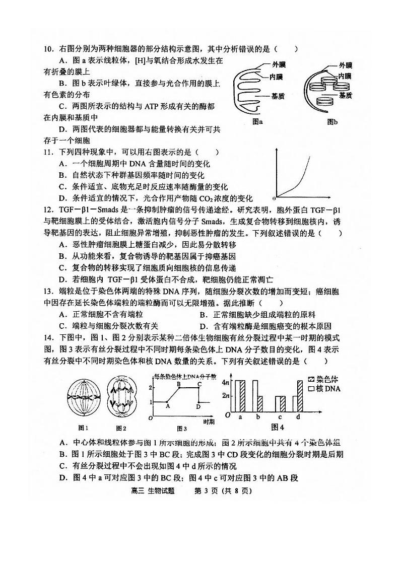 2021郑州一中高三上学期期中考试生物试题PDF版含答案03