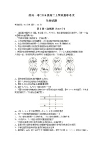 2021济南一中高三上学期期中考试生物试题含答案