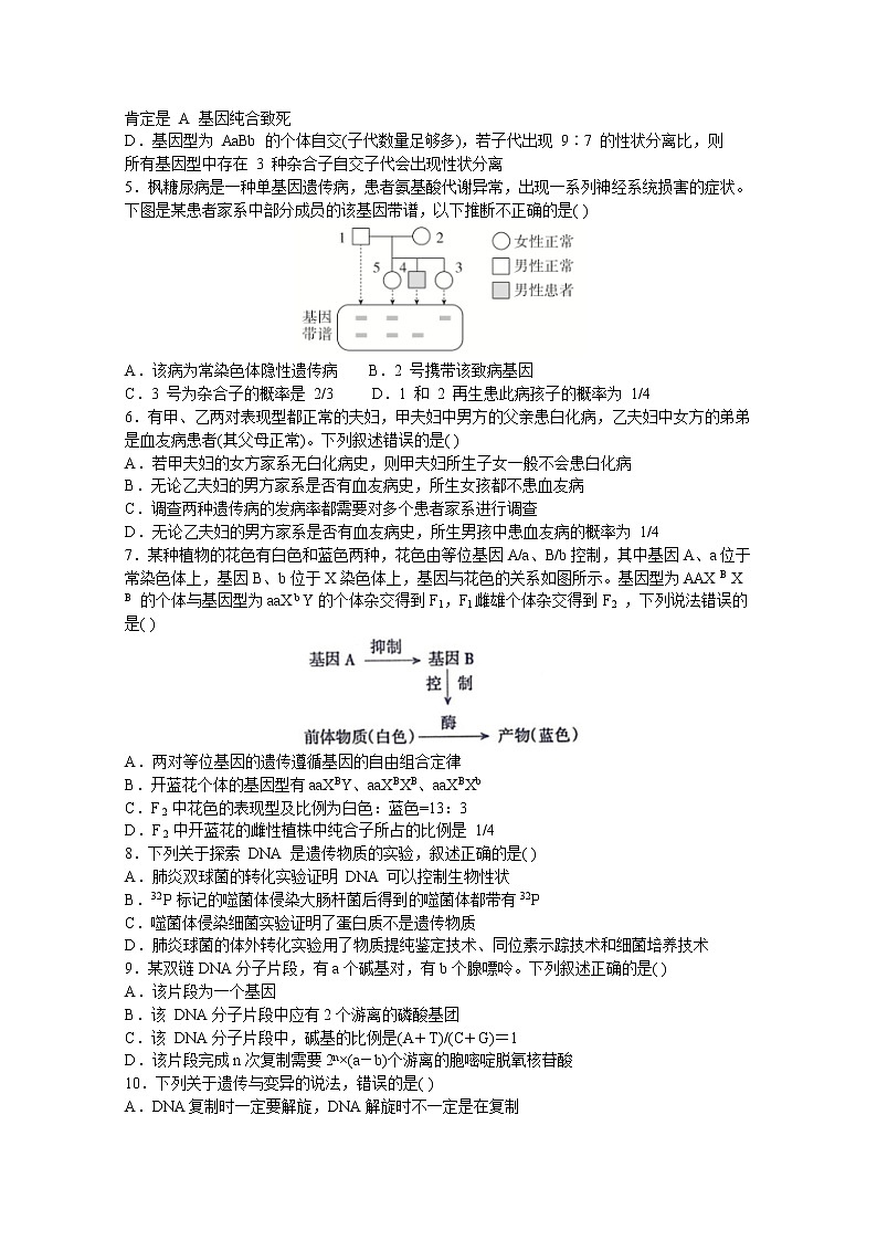 2021济南一中高三上学期期中考试生物试题含答案02