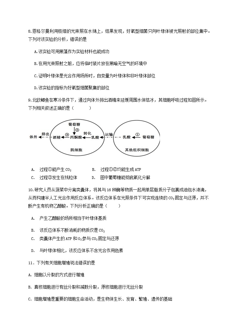 2021龙岩“长汀、连城、上杭、武平、永定、漳平”六县（区）一中高三上学期期中联考生物试题含答案03