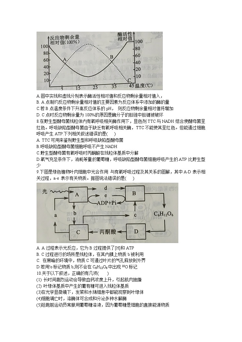 2021沈阳郊联体高三上学期期中考试生物试题含答案第3页