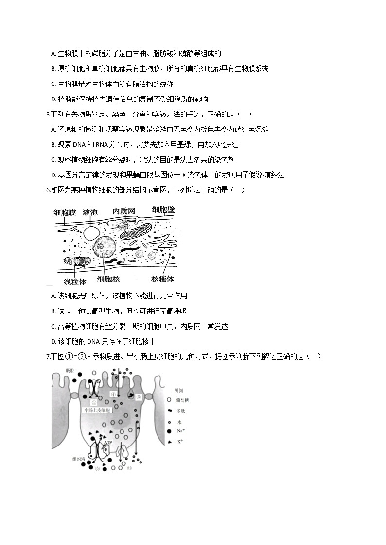 2021渭南大荔县大荔中学高三第二次质量检测生物试题含答案第2页