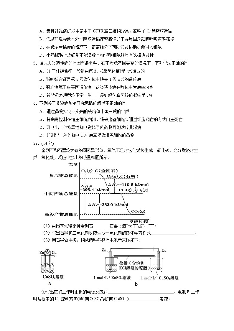 2021宁夏大学附中高三上学期第三次月考生物试卷含答案第2页