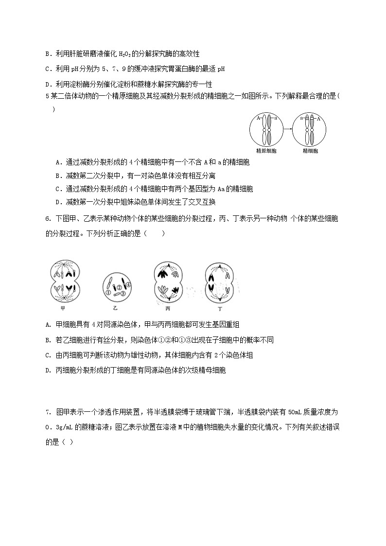 2021铁岭开原二中高三第一次模拟考试生物试题含答案02