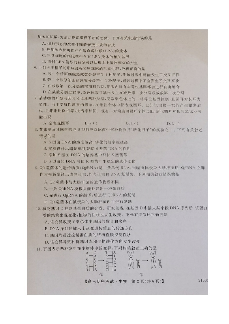 辽宁省辽西联合校2021届高三上学期期中考试生物试题（图片版，无答案）第2页