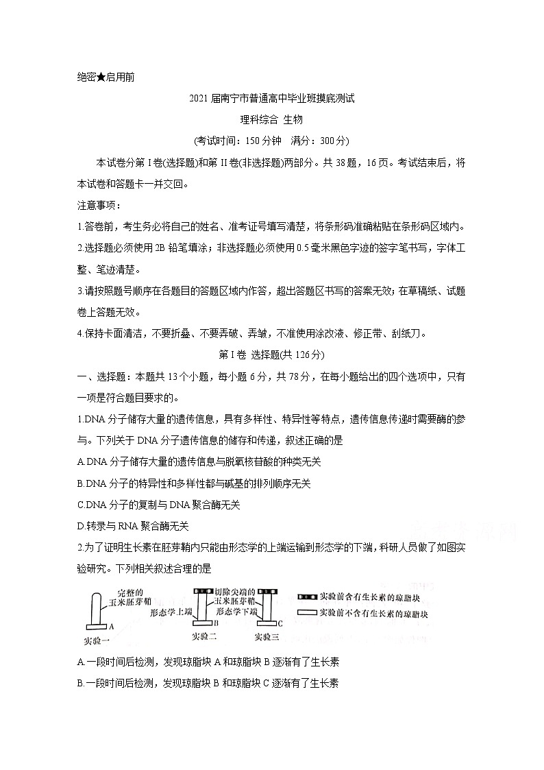 2021南宁普通高中高三10月摸底测试生物含答案01