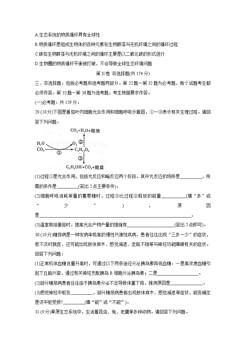 2021南宁普通高中高三10月摸底测试生物含答案03