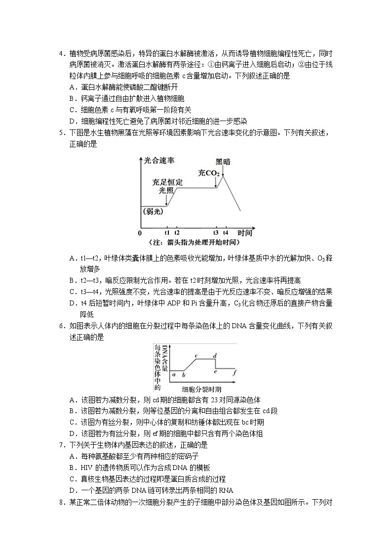 2021广州执信中学高三上学期第二次月考生物试卷含答案02