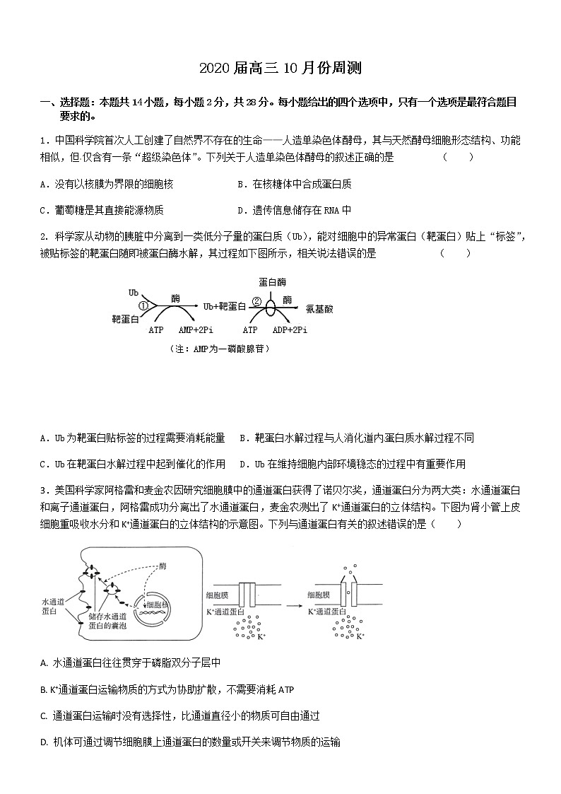 2020济南章丘四中高三10月月考生物试题含答案第1页