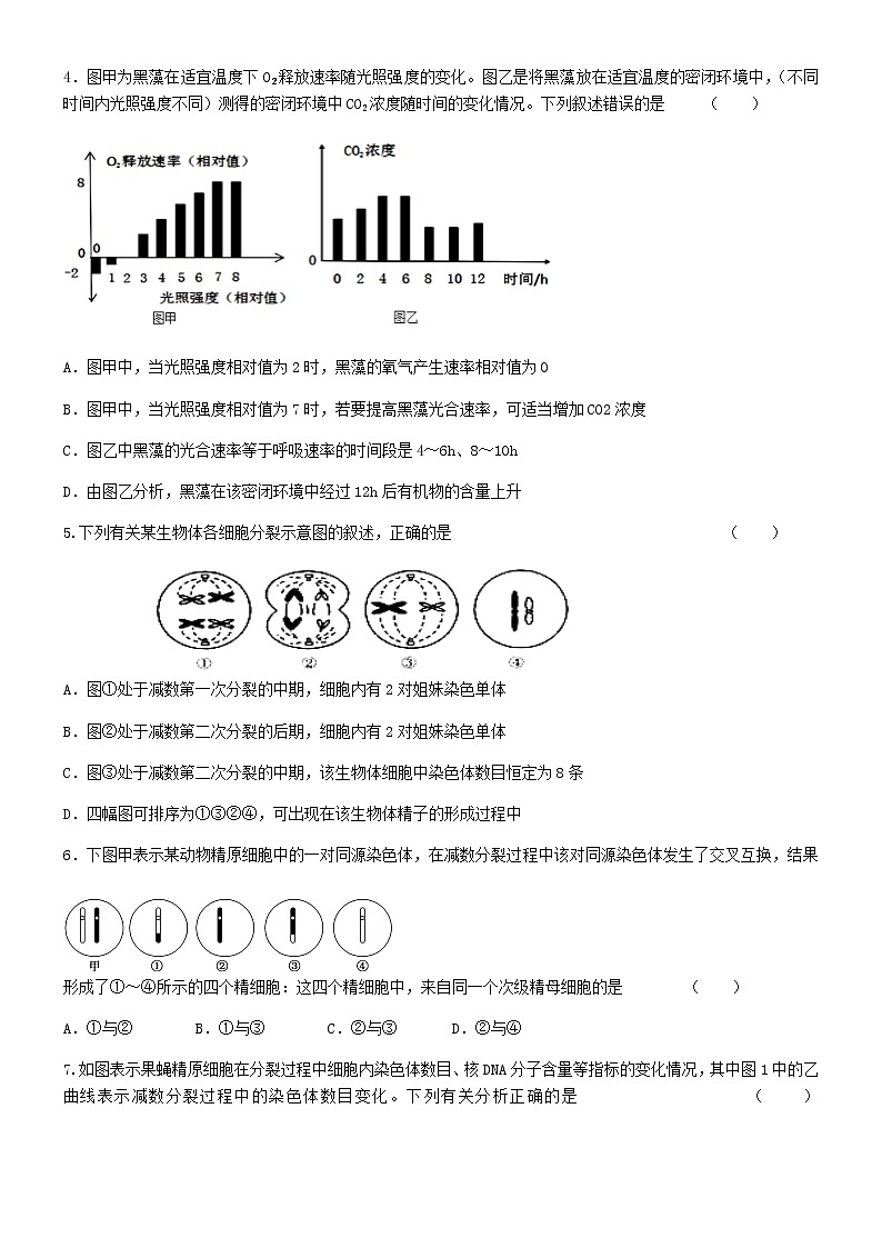 2020济南章丘四中高三10月月考生物试题含答案第2页