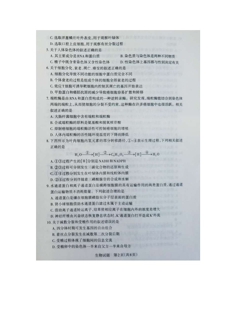 山西灵丘豪洋中学2021届高三阶段性测评考试生物试卷（扫描版）第2页