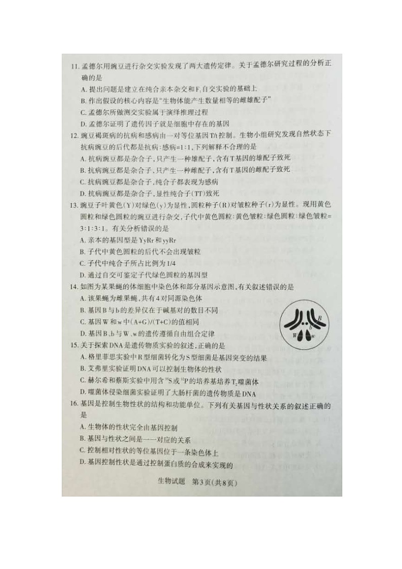 山西灵丘豪洋中学2021届高三阶段性测评考试生物试卷（扫描版）第3页