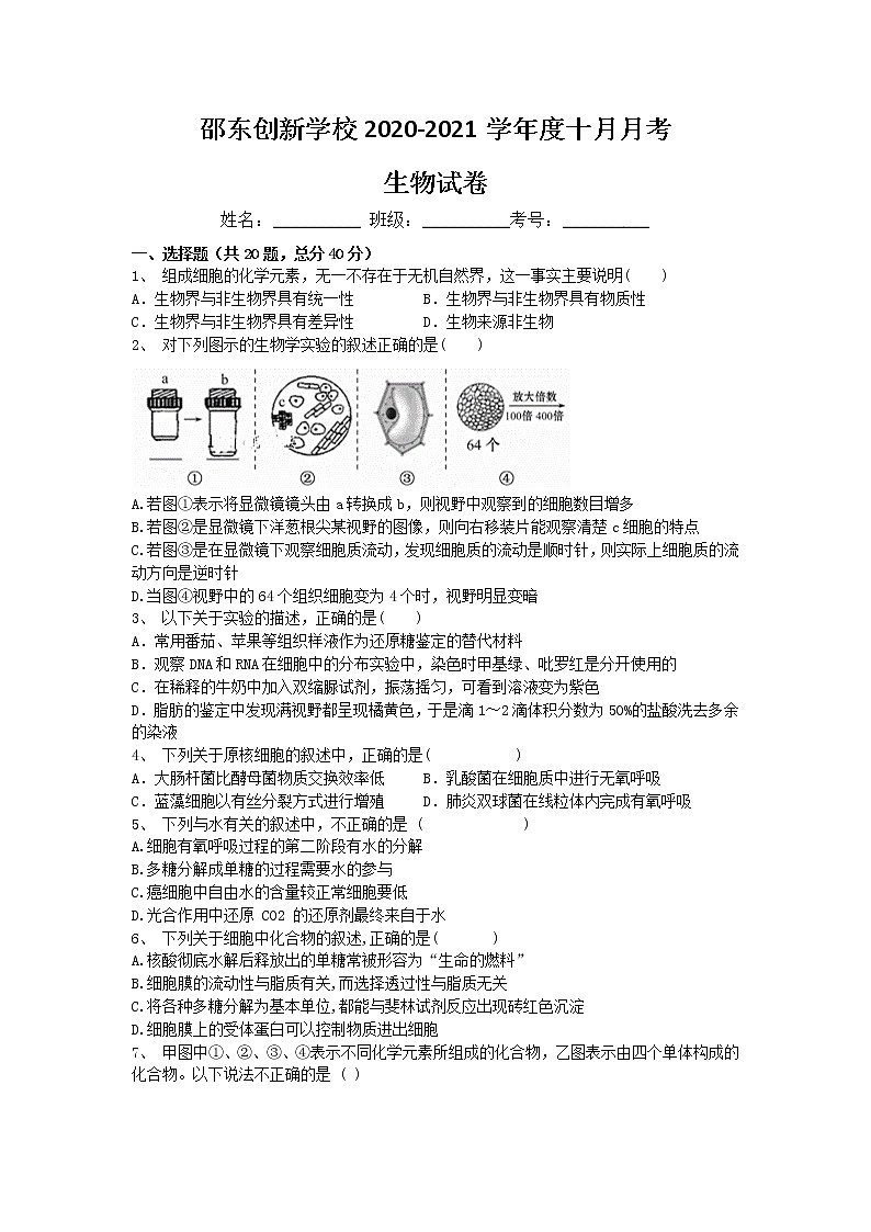 2021邵阳邵东县创新实验学校高三10月月考生物试题含答案第1页