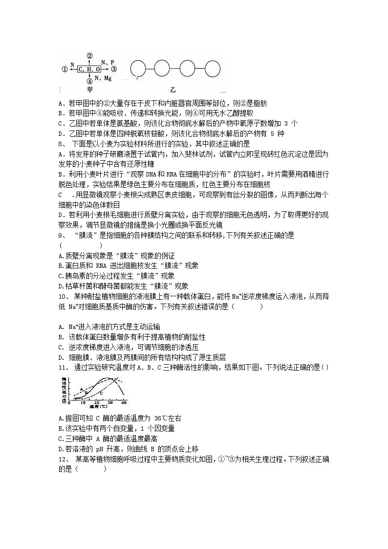 2021邵阳邵东县创新实验学校高三10月月考生物试题含答案第2页