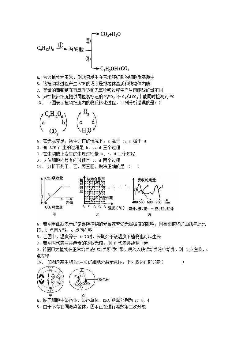 2021邵阳邵东县创新实验学校高三10月月考生物试题含答案第3页