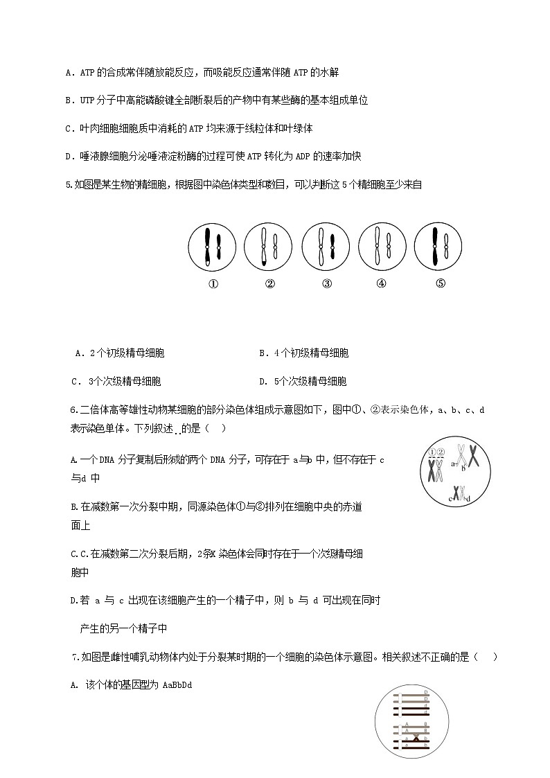2021新泰一中老校区（新泰中学）高三上学期第二次月考生物试题含答案02