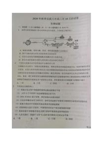 2021泉州安溪八中高三10月质量检测生物试题图片版缺答案