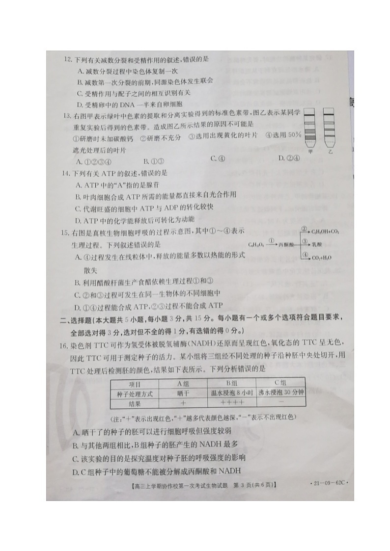 2021辽宁省协作校高三上学期第一次考试生物试题图片版含答案第3页