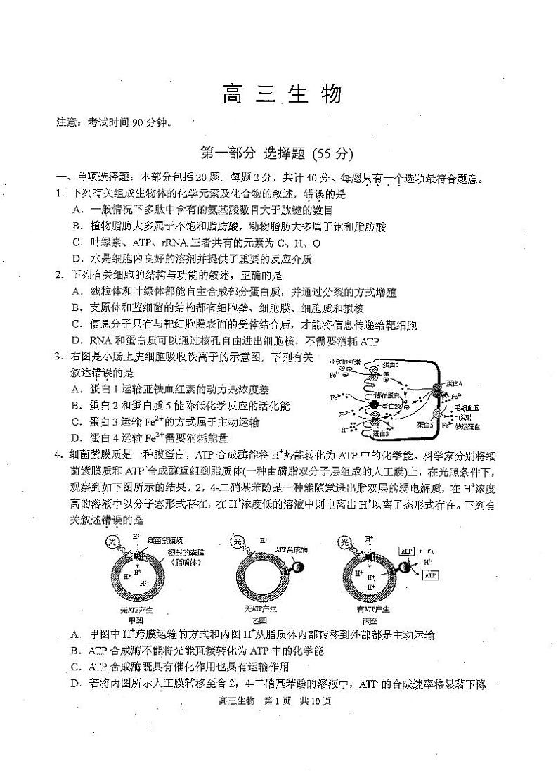 2021苏州相城区高三上学期阶段性诊断测试生物试卷PDF版含答案第1页