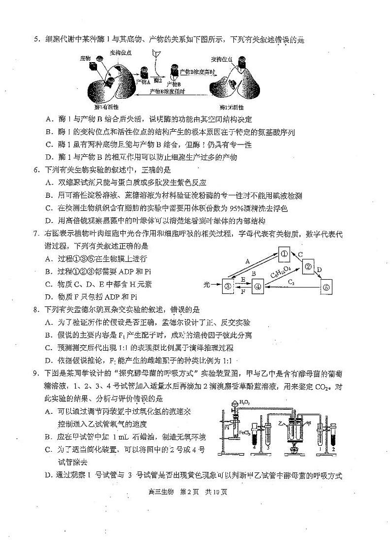 2021苏州相城区高三上学期阶段性诊断测试生物试卷PDF版含答案第2页