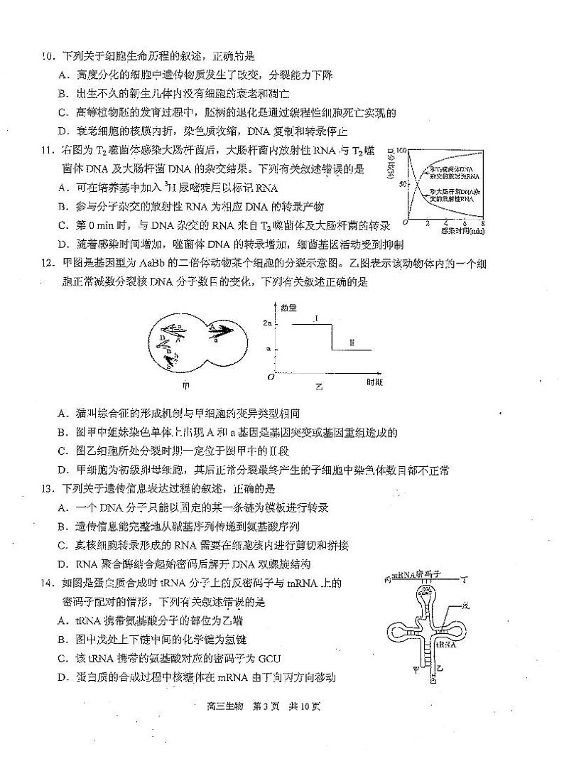 2021苏州相城区高三上学期阶段性诊断测试生物试卷PDF版含答案第3页