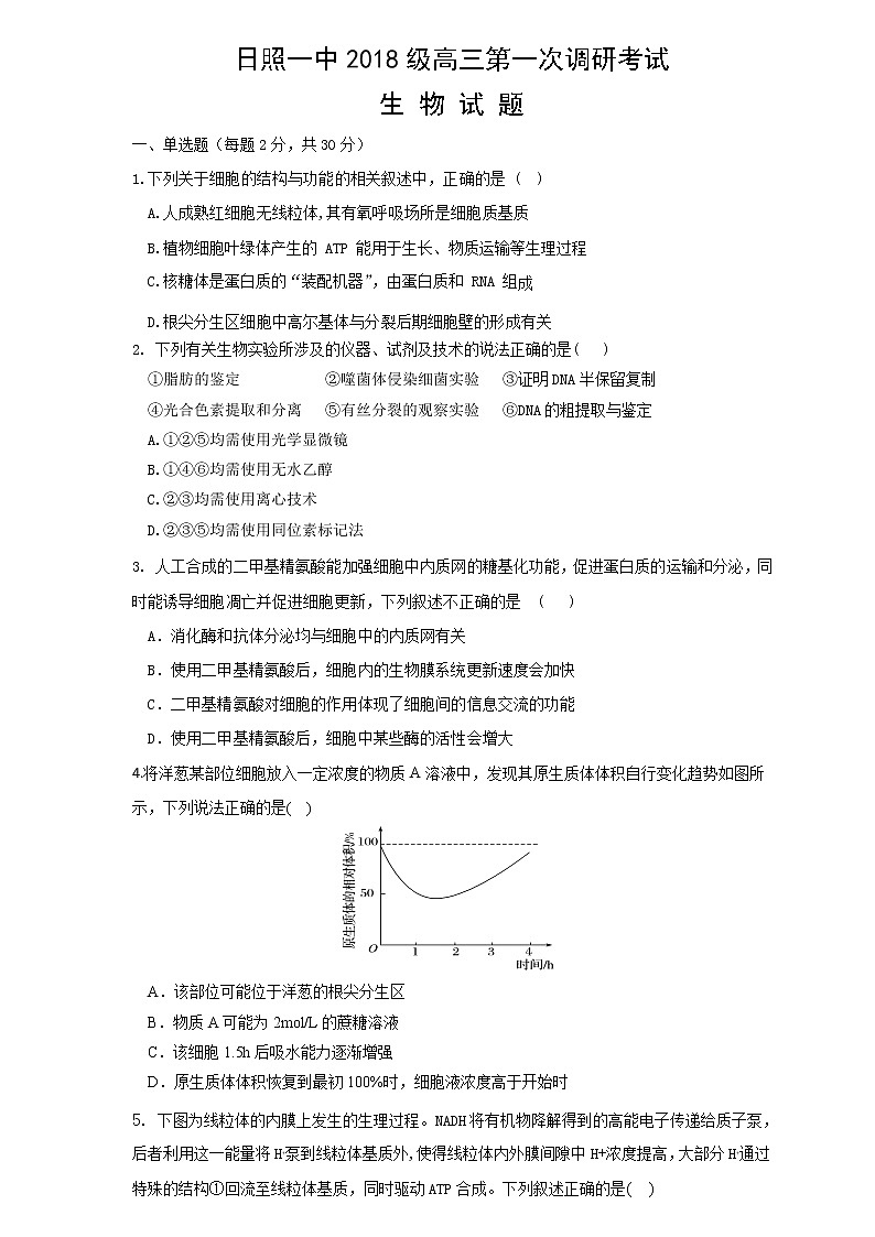 2021日照一中高三10月份第一次调研考试生物试题含答案第1页