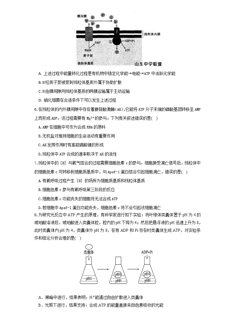 2021日照一中高三10月份第一次调研考试生物试题含答案第2页